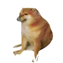 :cheemzforgiveme: