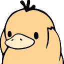 :duckPog2:
