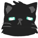 Moki_sleepy