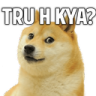 dogebaaz_tru_hai_kya