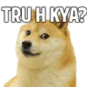 :dogebaaz_tru_hai_kya: