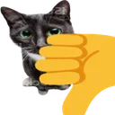 thumbsdowncat