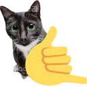 callmecat