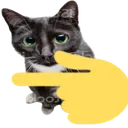 pointleftcat