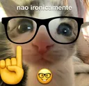 teste