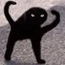 voidsckree