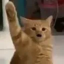 Wave Wave