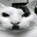 Stare