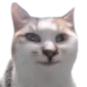 eepersilly
