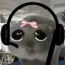 gamerhampter