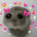 lovehampter lovehampter