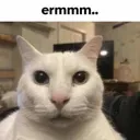 Erm