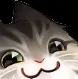 Cat Smug cat_smug Discord Emoji