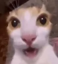 gwuh