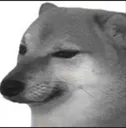doge_sedd