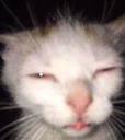 :eepy: