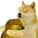 doge_hug