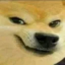 doge_smilee
