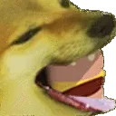 doge_burger