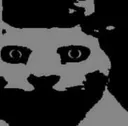 1000uncannycatstare