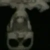 AINTNAURRRRRRRRRWAYYYYYYYYYYYYY