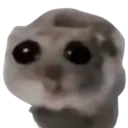 BM_1