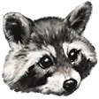 RaccAttack