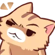 zee_what