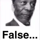 false false