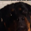 ShockedSamantha