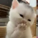 shy_laugh