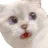 scaredaf scaredaf