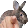 BunPoint BunPoint