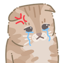 AR_catcrying2