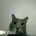 raul raul
