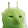 glorp