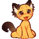2r_tailwagcatbrown