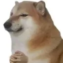 doggo