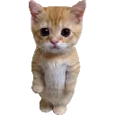 emoji_1