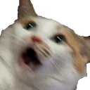 emoji_2
