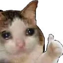 emoji_6