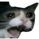 emoji_10