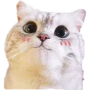 emoji_14