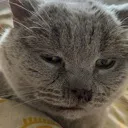emoji_26