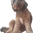 emoji_29