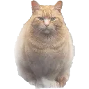 emoji_31