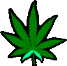 weed