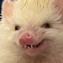 emoji_100