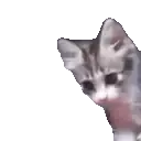saludogato