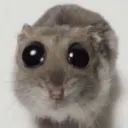emoji_182